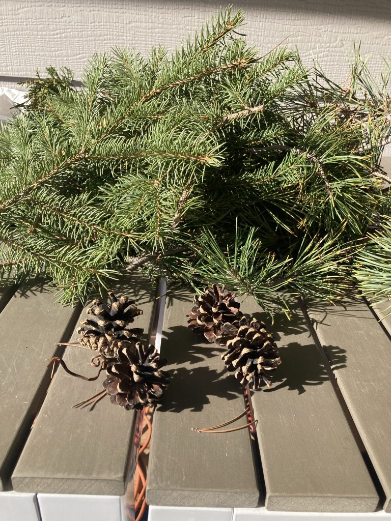 Wreath materials harvested from the yard